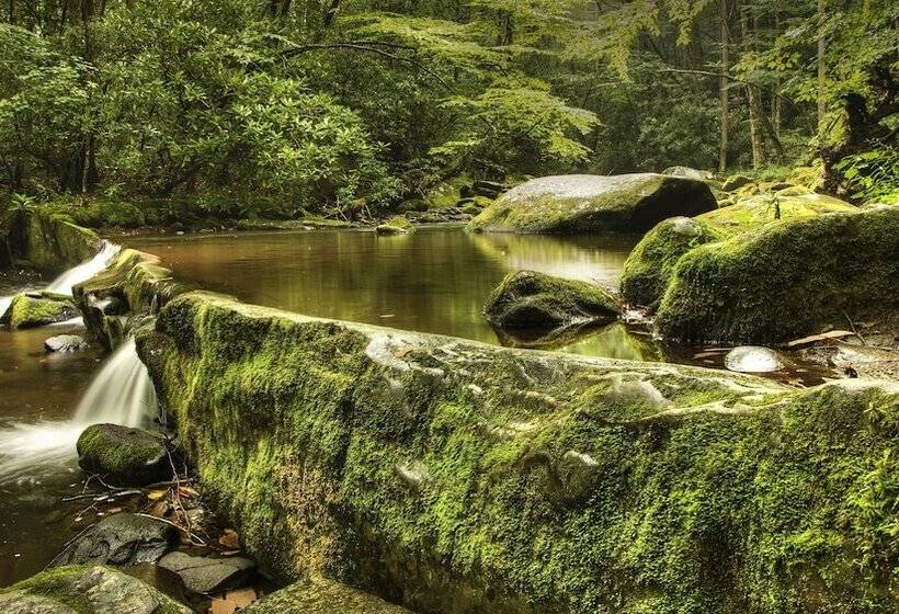 هتل Holiday Inn & Suites Pigeon Forge Convention Center, An Ihg