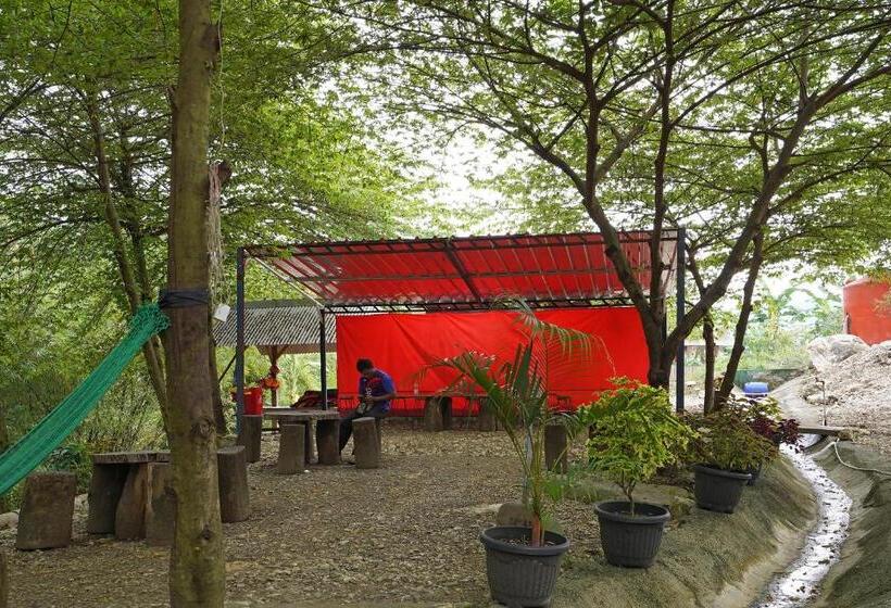 Отель Spot On 90916 Eco Tourism Geopark Rajamandala Homestay