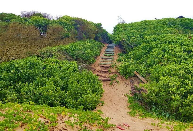 בית מלון כפרי The Blue Whale