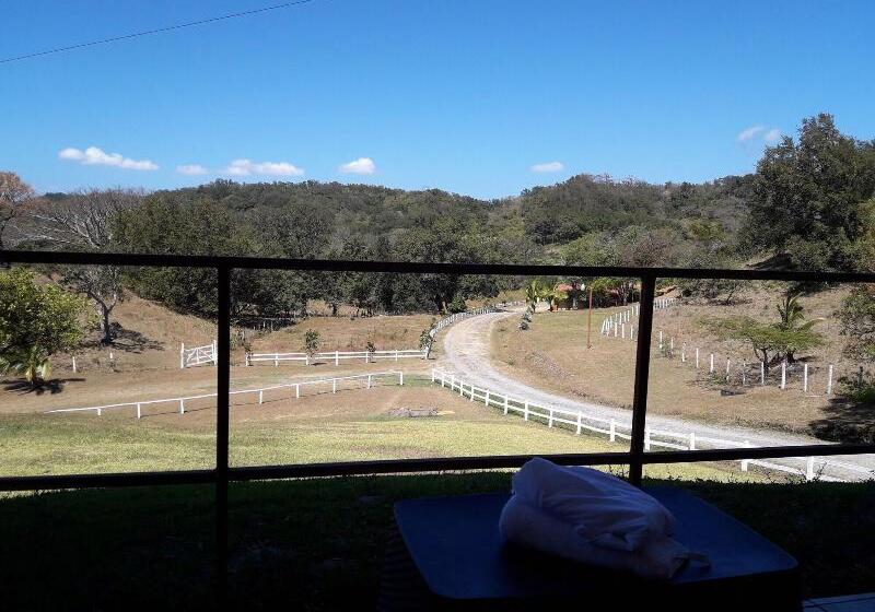 ホテル Vida Aventura Ranch