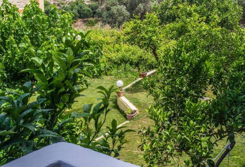 Отель Villa Stefania Dream