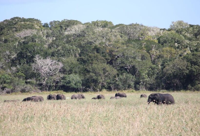 Montebelo Milibangalala Bay Resort