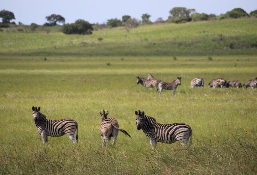 Montebelo Milibangalala Bay Resort