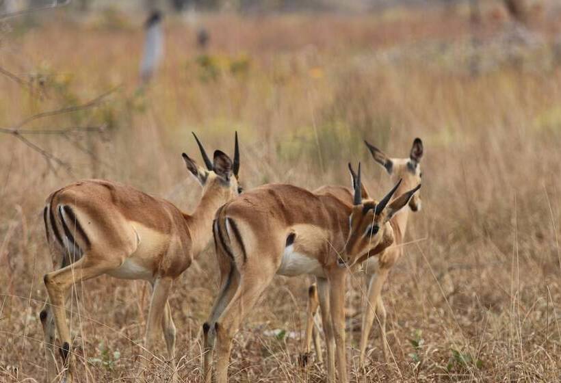 Montebelo Milibangalala Bay Resort