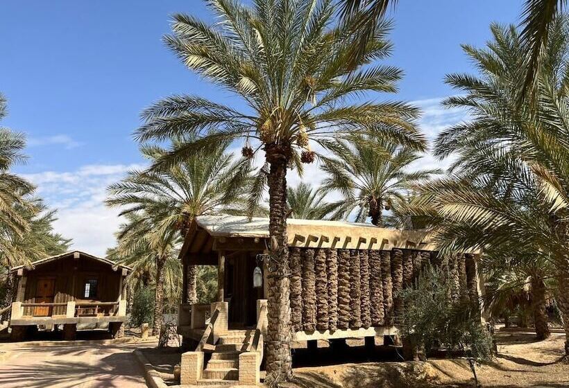 Пансион Dar Horchani