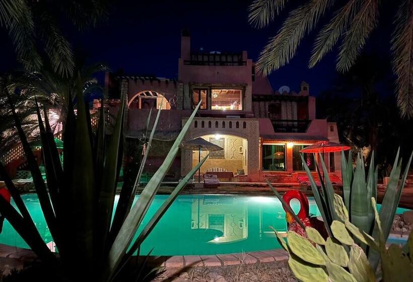 Пансион Dar Horchani