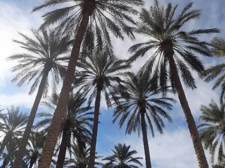 Пансион Dar Horchani