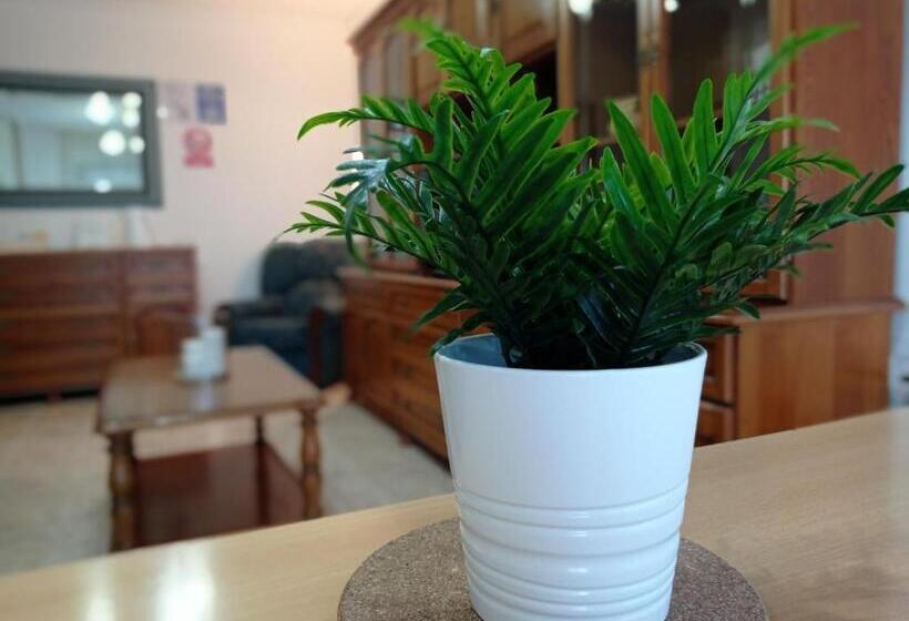 膳宿费 Martínez Rooms Pilgrims