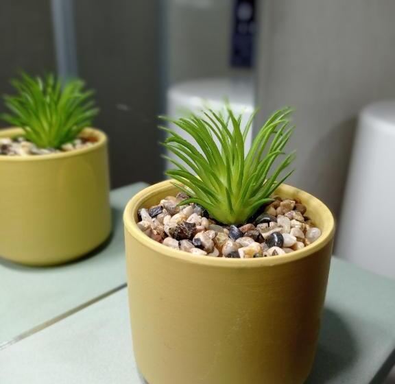 膳宿费 Martínez Rooms Pilgrims