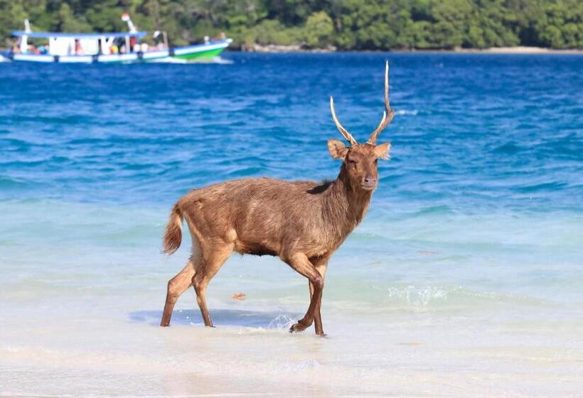 بنسيون Nikki Peucang Resort