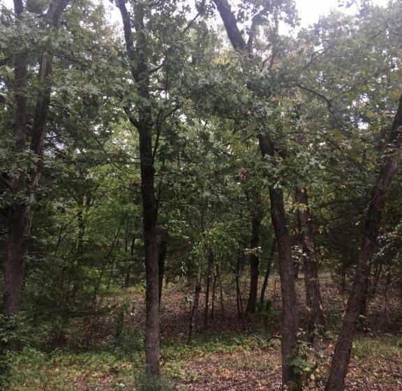 פנסיון Acorn Hideaways Canton Old West Bunkhouse For 9   Trail S End Corral