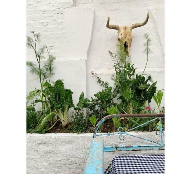 פנסיון The Richmond Café And Rooms