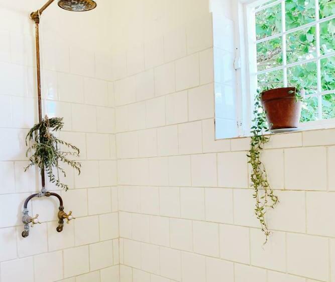 פנסיון The Richmond Café And Rooms