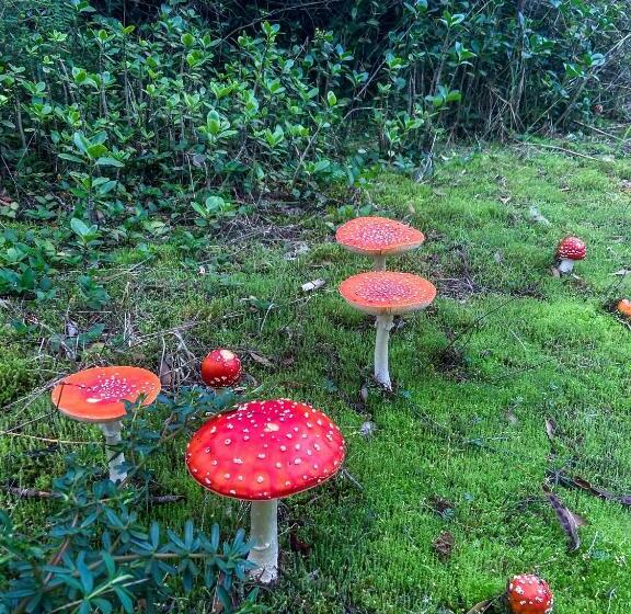 مبيت وإفطار Alondra Posada Turística, Escape Con Chimenea A Una Hora De Bogotá