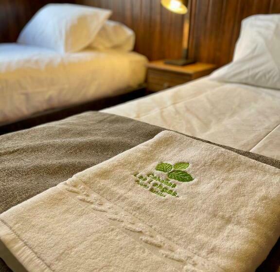 민박 Cabañas Las Lengas