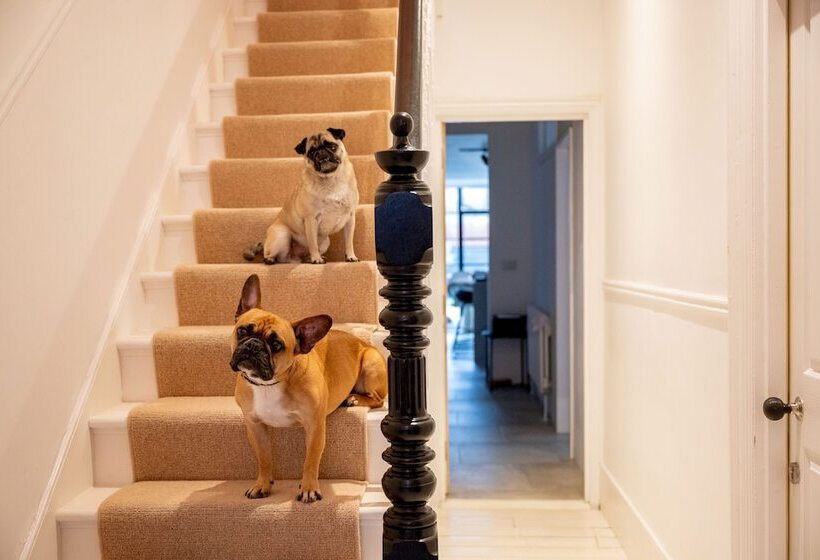 Bed and Breakfast Doghouse Margate