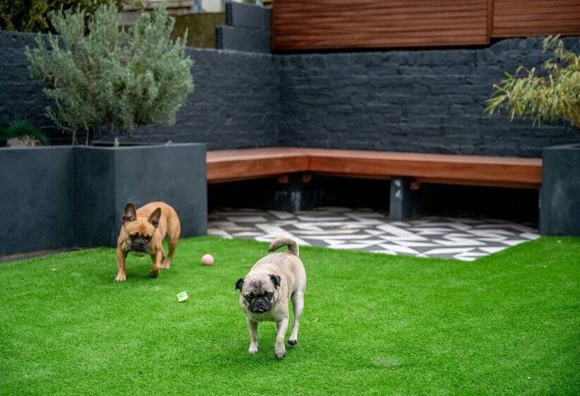 Bed and Breakfast Doghouse Margate