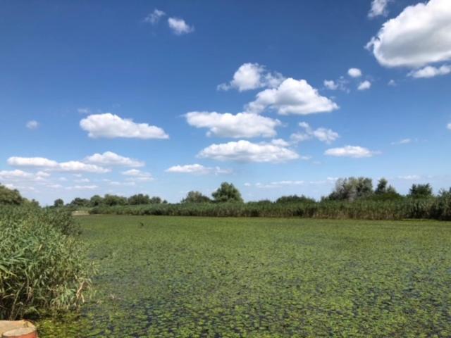 住宿加早餐  Hanul Casa Alba Fehér Ház Fogadó
