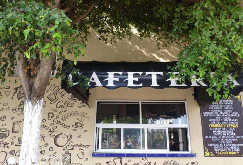 هتل Caracoles Colima