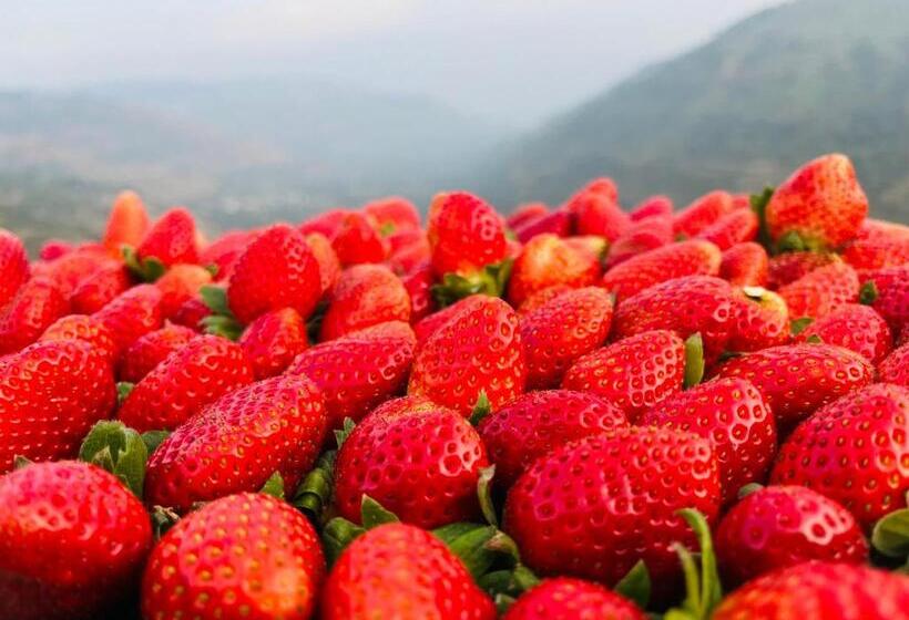 בית מלון כפרי Kalasita