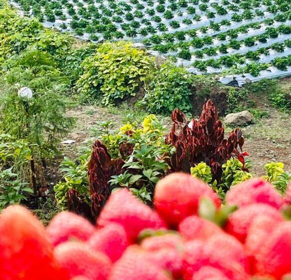 בית מלון כפרי Kalasita