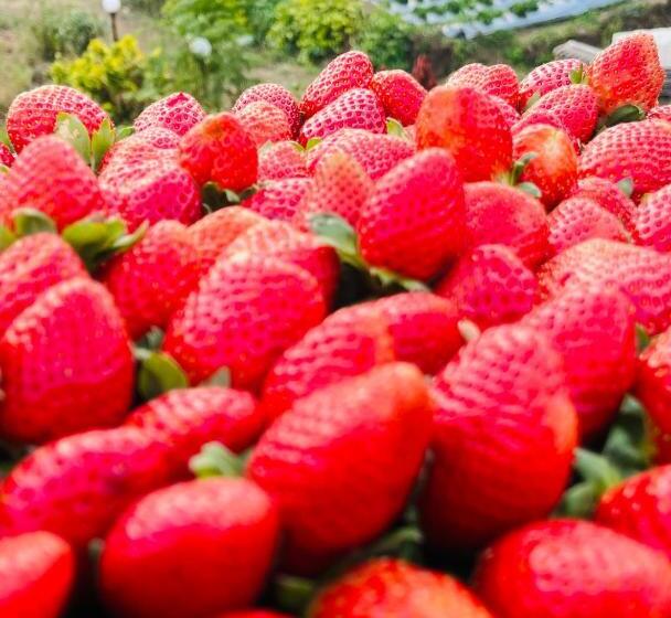 בית מלון כפרי Kalasita