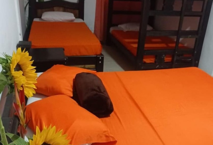 Отель Plaza Calarcá