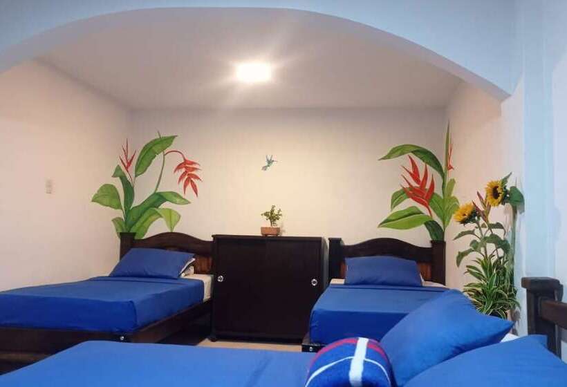 Отель Plaza Calarcá