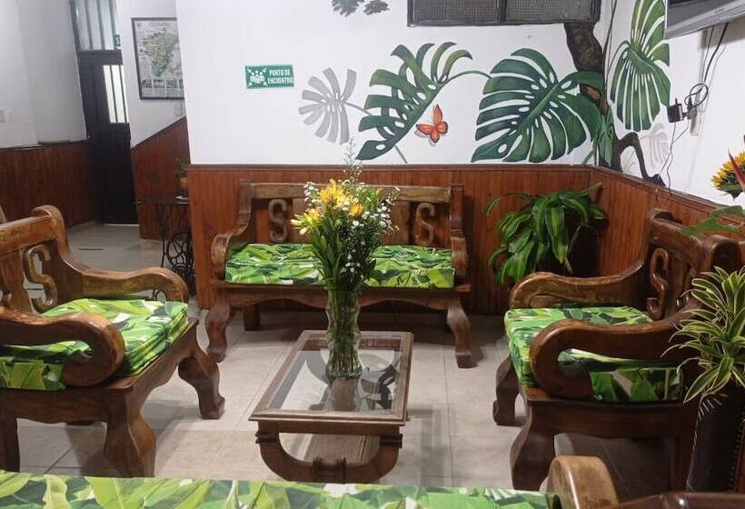 Отель Plaza Calarcá