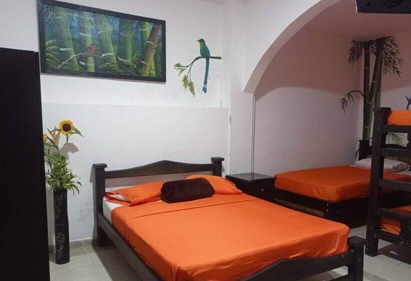 Отель Plaza Calarcá