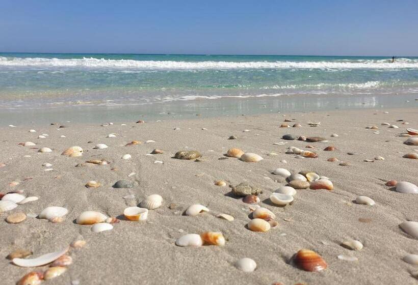 Mahdia Baghdadi Laourient Apartments, Restaurant, Café