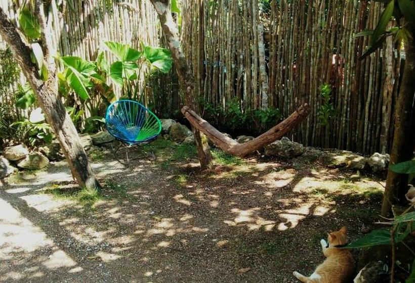 بنسيون Cabañas Alma Verde