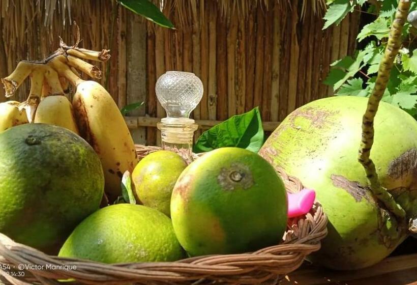 بنسيون Cabañas Alma Verde