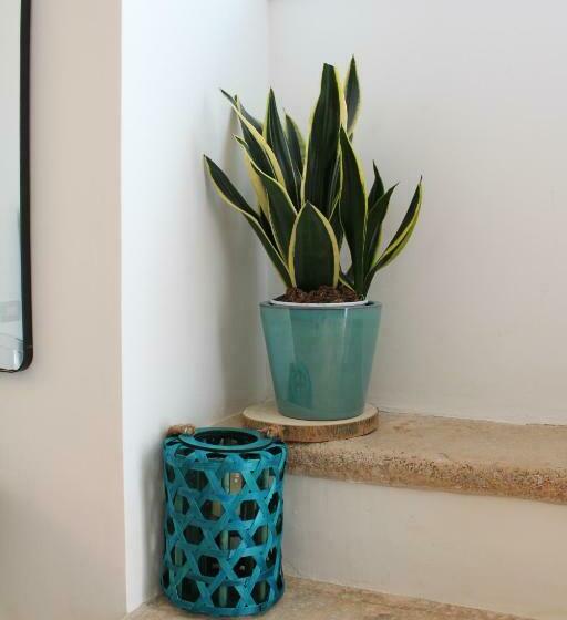 ペンション Maison Chene Con Vasca Idromassaggio