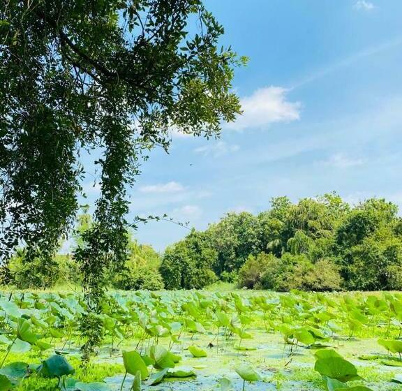 פנסיון Meegahapokuna Resort