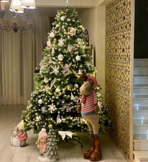 膳宿费 Mountain View Ceahlau