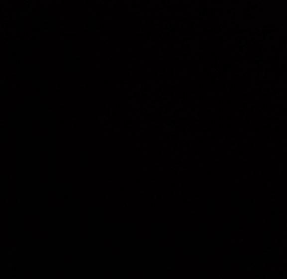 פנסיון New Mount Villa