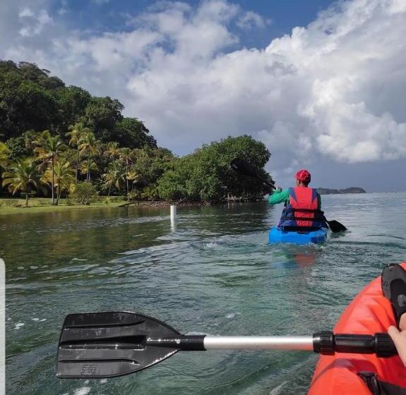 膳宿费 Rainforest Lodge Del Rio