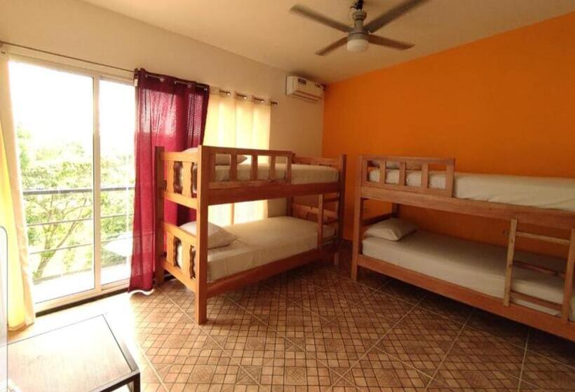 膳宿费 Rainforest Lodge Del Rio