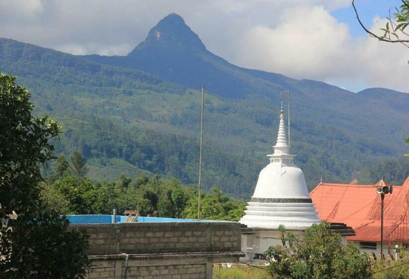 ペンション Royal Reach Resort & Holiday Bungalow