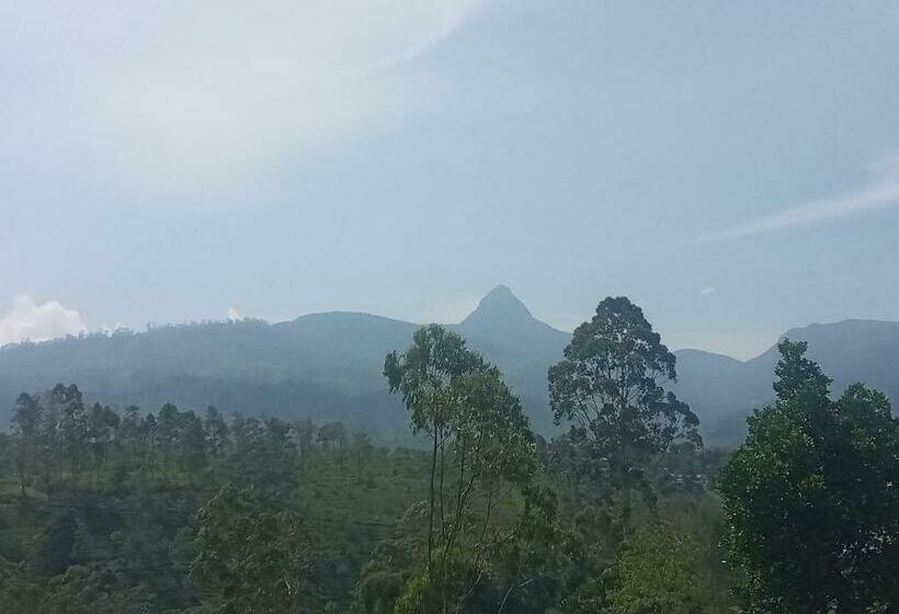 ペンション Royal Reach Resort & Holiday Bungalow