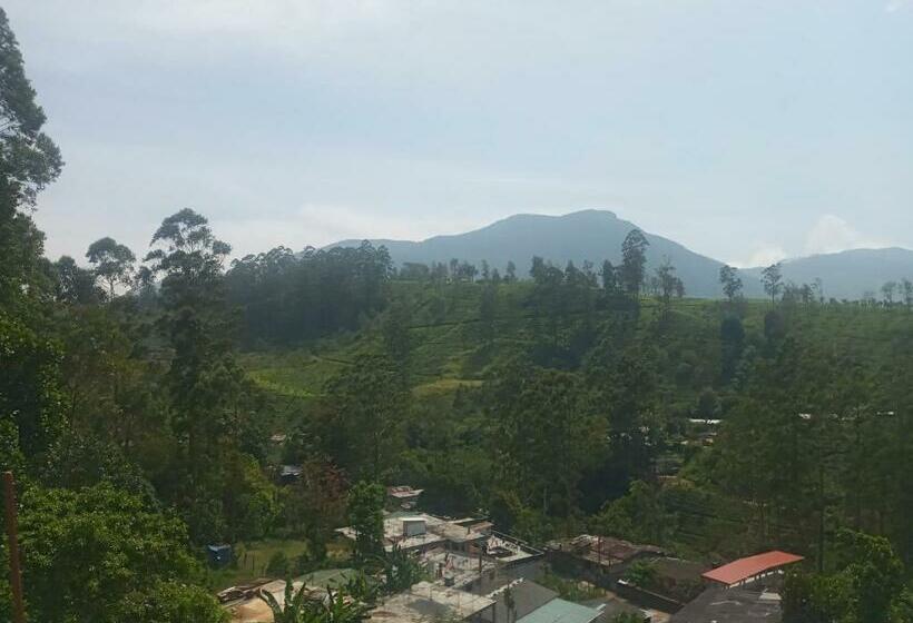 ペンション Royal Reach Resort & Holiday Bungalow