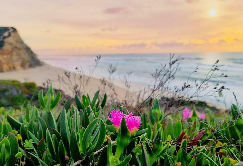 פנסיון Tika Surf Camp Ericeira