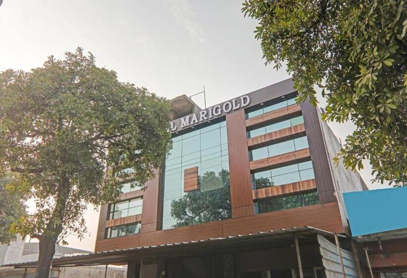 酒店 Fabexpress Marigold