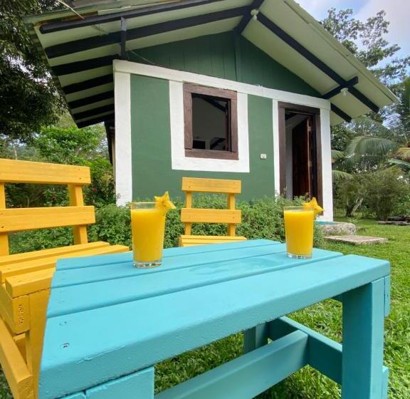 ペンション Hostal Portal Del Sol