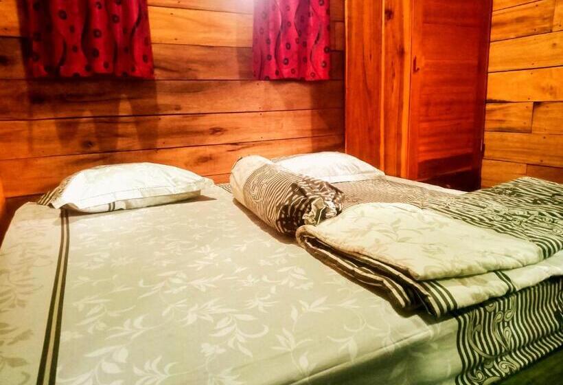 Пансион Pine Tree House