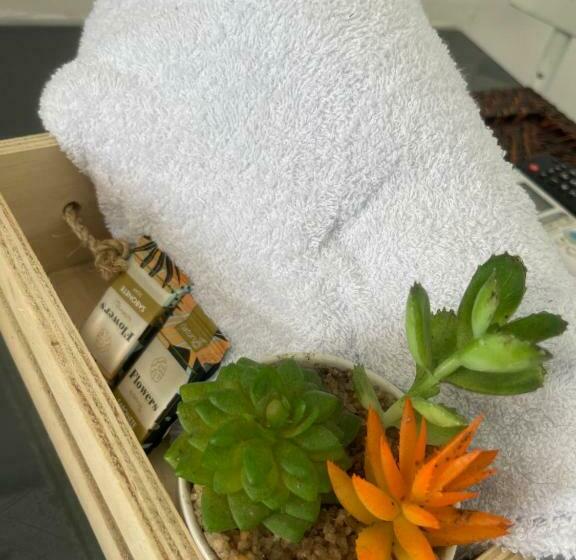 ユースホステル Pousada Guadalupe