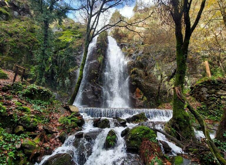 ホテル Beecaramuloapiturismo