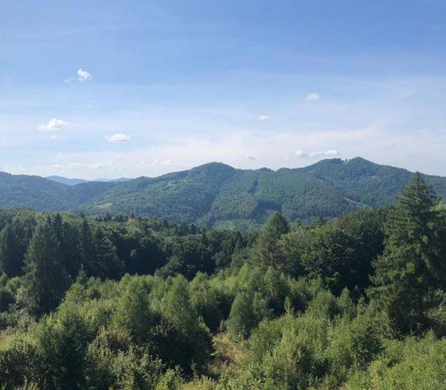 هتل Four Seasons In Carpathians