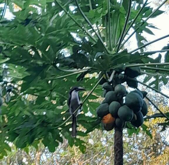 Отель Sadee S Place